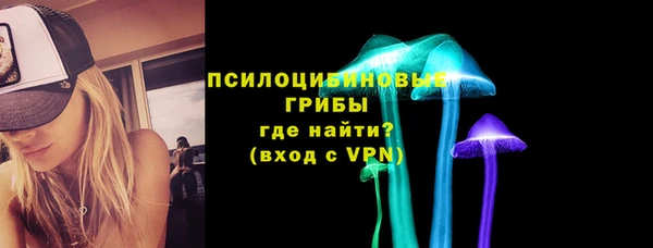 дмт Саяногорск